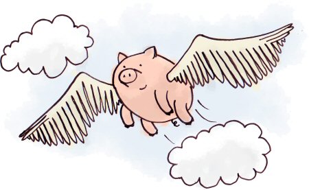 Flying Pig