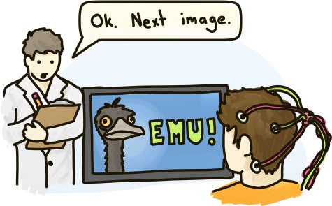 A scientist shows a picture of an emu to a man hooked up to brain monitoring equipment.