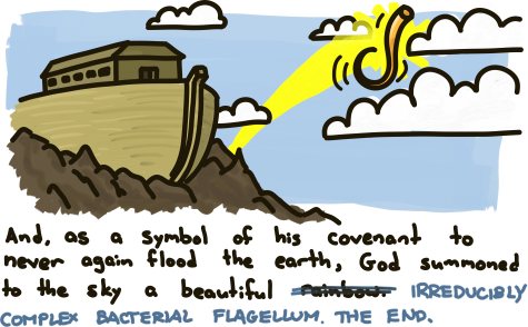 And as a symbol of his covenant to never again flood the earth, God summoned to the sky a beautiful rainb---IRREDUCIBLY COMPLEX BACTERIAL FLAGELLUM. THE END.